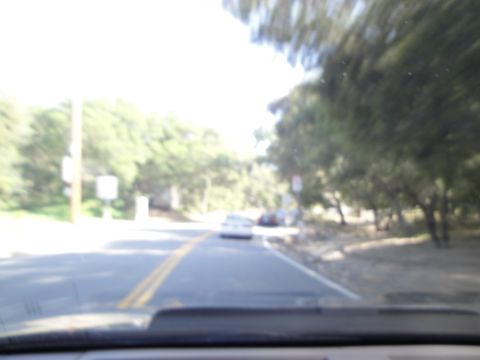 1995 Ford Taurus - A white sedan is seen from the driver's perspective on a two-lane road with trees and foliage visible on the right side.