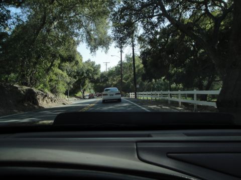 1995 Ford Taurus - Driving on a tree-lined road with several cars visible in the distance.