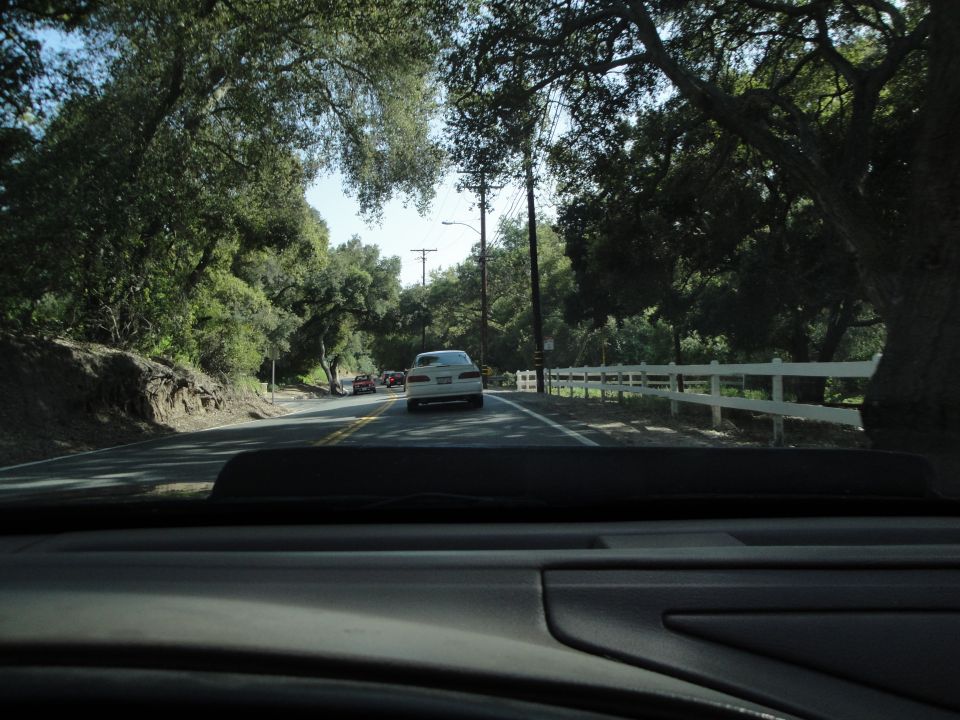 View from inside a car looking out at a road with trees and other cars ahead
