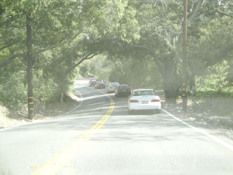 1995 Ford Taurus - A white 1995 Ford Taurus is seen from behind on a two-lane road with other vehicles.