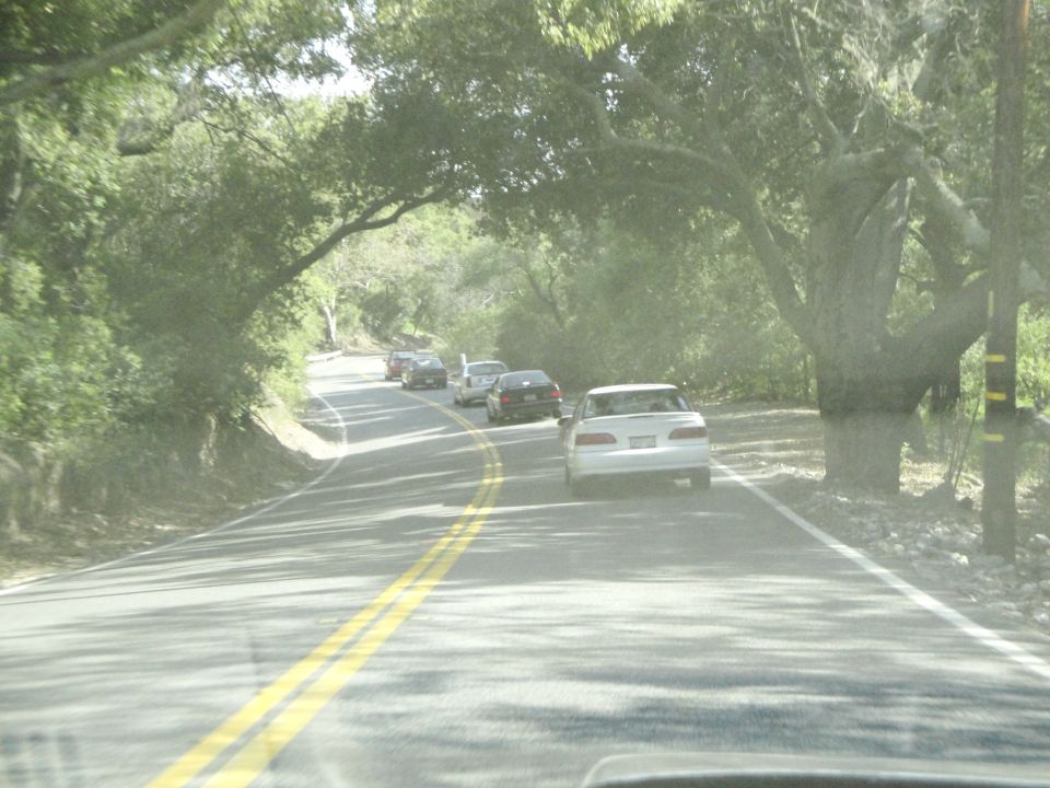 Several cars driving on a tree-lined road