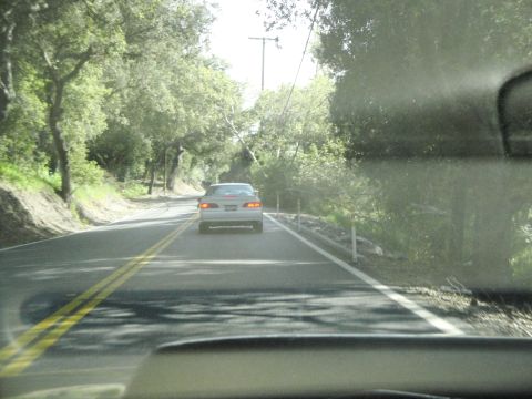 1995 Ford Taurus - A white 1995 Ford Taurus is seen from behind driving on a two-lane road surrounded by trees.