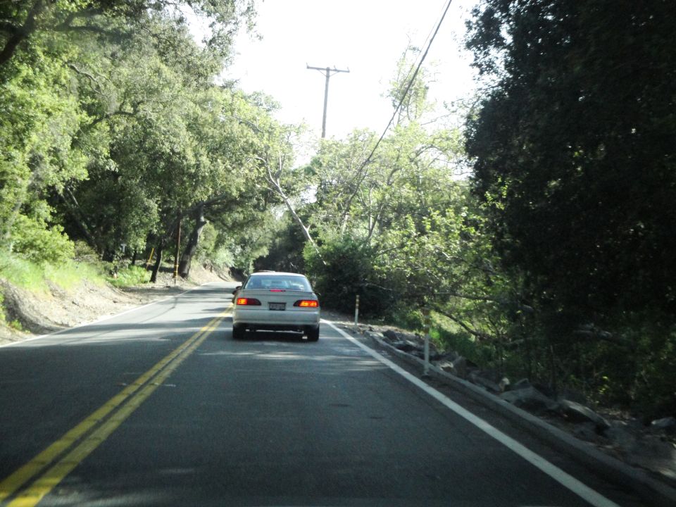 Car driving on a two-lane road with trees on both sides and a utility pole