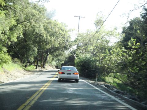 1995 Ford Taurus - A white sedan travels down a tree-lined road on a sunny day.