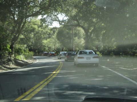 1995 Ford Taurus - A white sedan is seen from the rear, driving on a road lined with trees, with other vehicles ahead.
