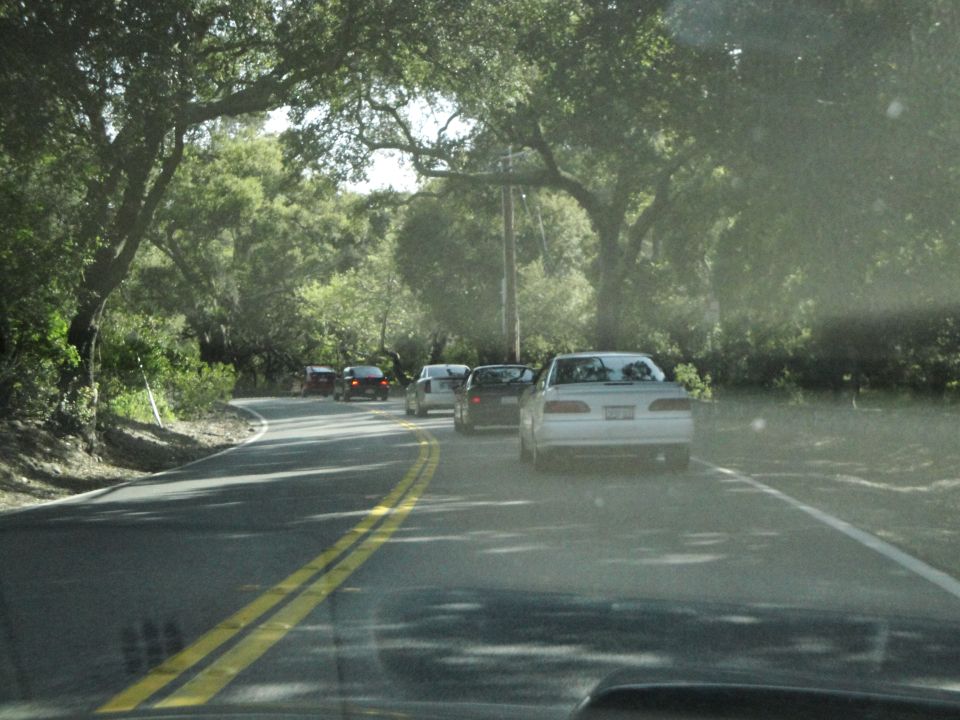 White sedan seen from behind on a road with trees and other cars