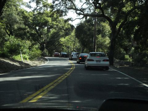 1995 Ford Taurus - Multiple vehicles travel along a scenic, tree-canopied road.