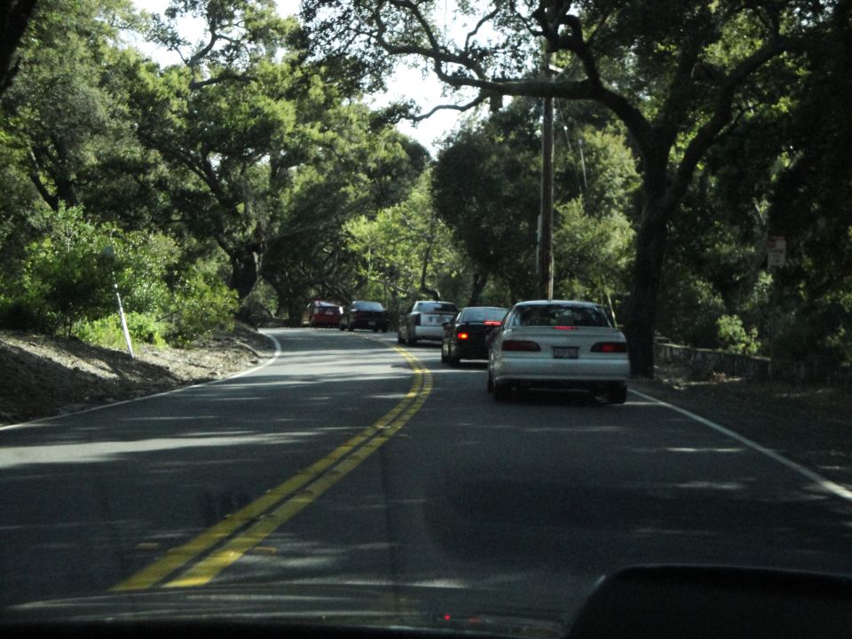 Several cars driving on a road bordered by large trees