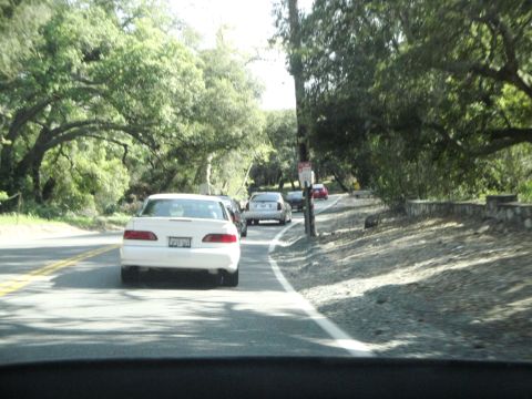 1995 Ford Taurus - A white sedan is seen from behind on a road surrounded by trees, with other vehicles ahead.