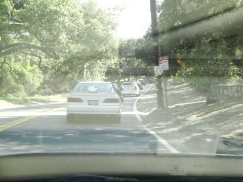 1995 Ford Taurus - A white sedan is seen from behind on a road with trees lining both sides. Other vehicles are visible ahead.