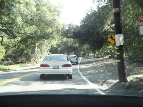 1995 Ford Taurus - Driving on a scenic road with trees lining the route and another car ahead.