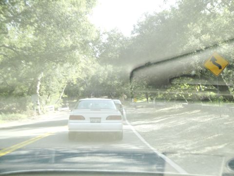 1995 Ford Taurus - A white sedan is seen from behind driving on a road with trees lining the sides and a curve warning sign.