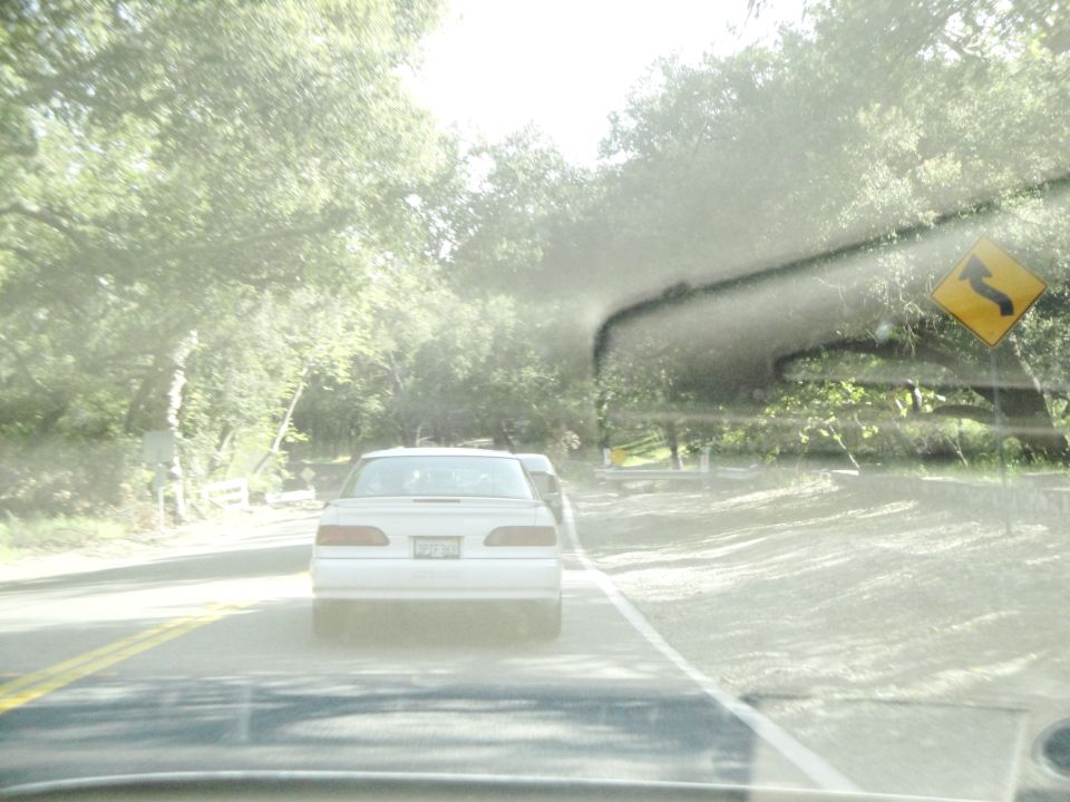 White sedan driving on a road with trees and a curve sign