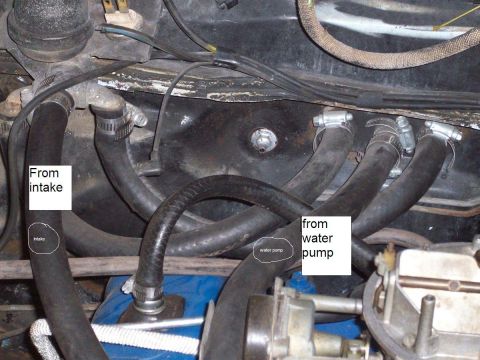 1969 Ford Torino - Close-up view of engine hoses, with labels indicating connections to the intake and water pump.