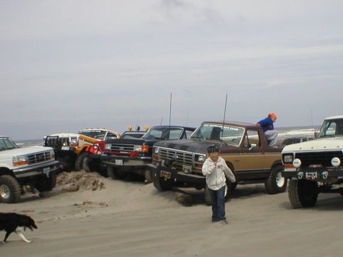 1978 Ford Bronco - A group of Ford trucks and Broncos are gathered on the beach, with a few people and a dog present.