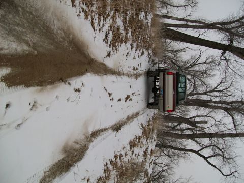 1988 Ford F-150 - A pickup truck navigates a snowy, muddy track bordered by bare trees.