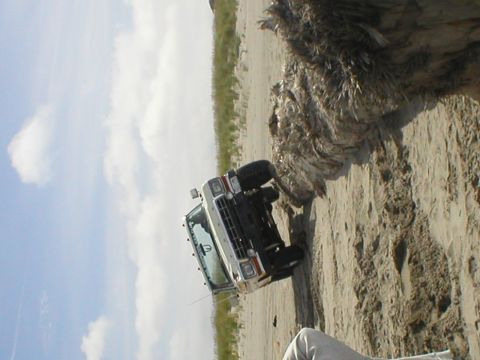 1978 Ford Bronco - Ford Bronco stuck in sand dunes, tilted on its side.