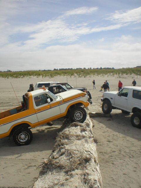 1978 Ford Bronco - Several off-road vehicles are parked on a sandy beach, with one pickup truck navigating over a large piece of driftwood.