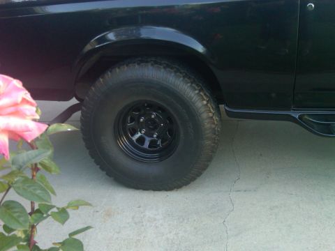 1986 Ford Bronco - Close-up of a black SUV's rear tire and fender, with a pink rose bush to the left.