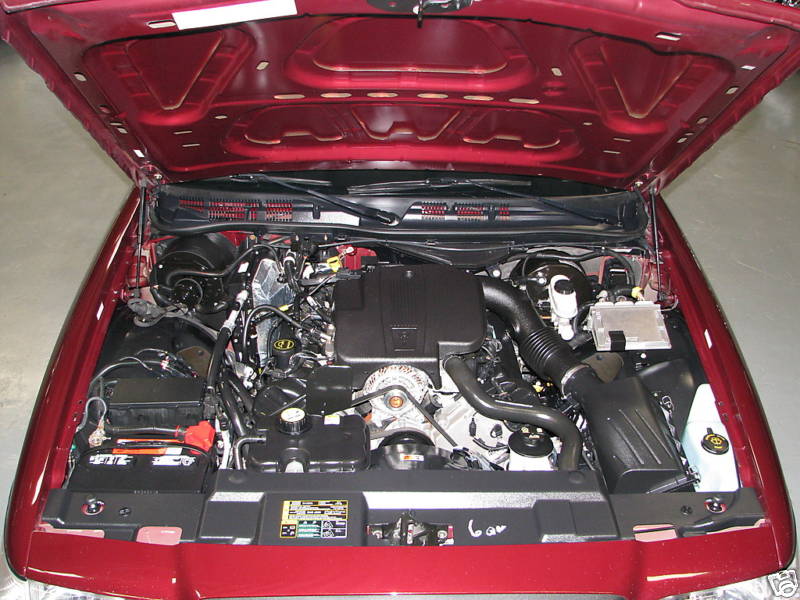 Red 2005 Ford Crown Victoria engine bay with hood open, showing V8 engine and various components