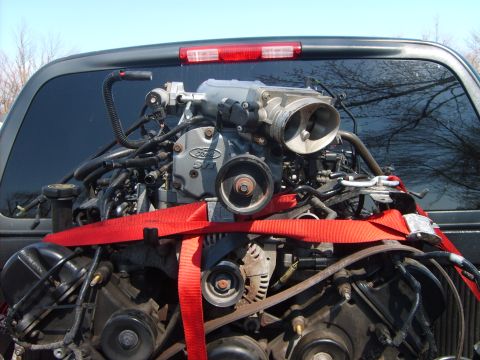 1993 Ford Crown Victoria - A complete Ford 4.6L modular V8 sits in the bed of a pickup, strapped down with red ratchet straps, wearing a cast "Ford 4.6" coil cover, a…