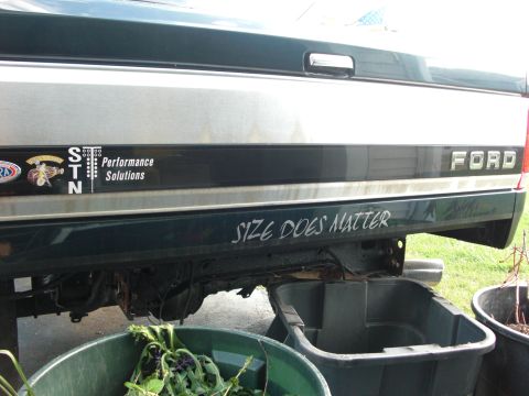 1995 Ford F-150 photo
