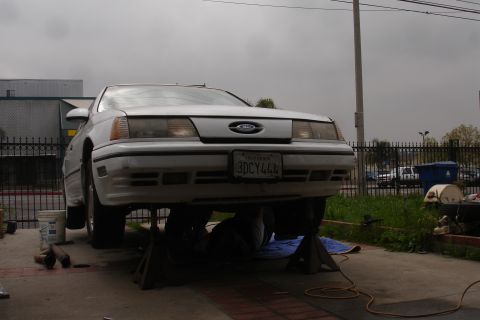 1989 Ford Taurus - A white Ford Taurus is raised on jack stands in a driveway, undergoing maintenance.