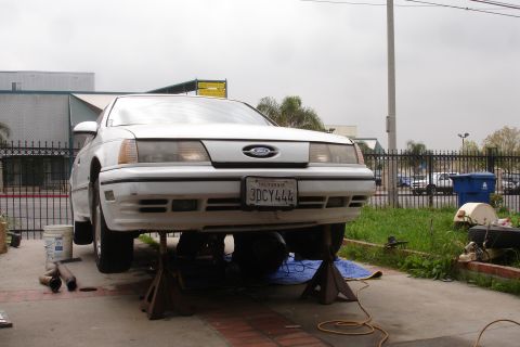 1989 Ford Taurus - A white Ford Taurus is elevated on jack stands for maintenance, showing its front end and license plate.