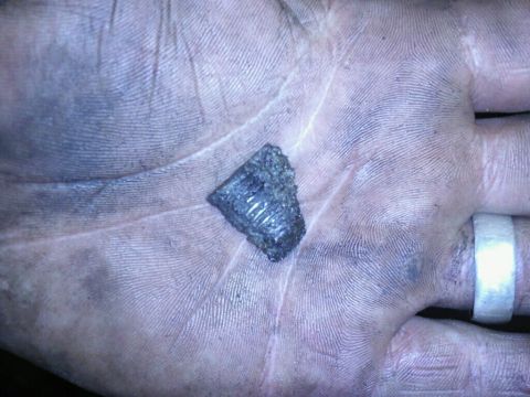 1995 Ford Bronco - A fragment of what appears to be a cracked engine block is held in a dirty hand.