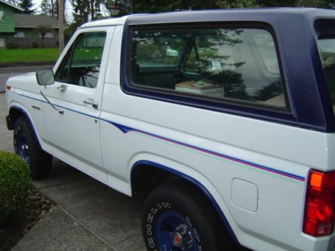 1985 Ford Bronco - The interior cargo area of a vehicle, revealing the wheel well and a door mechanism.