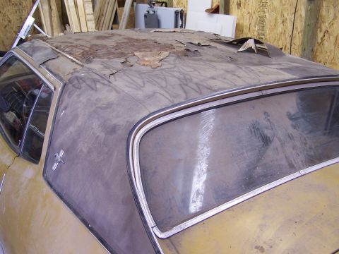 1972 Ford Mustang - A shot of the backlite and roof damage. We are lucky that all the vinyl roof trim is intact and in great shape!