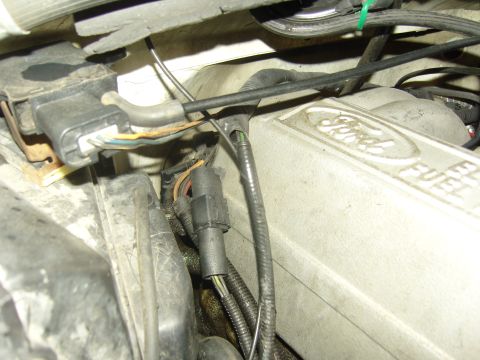 2007 Ford Mustang - Close-up view of wiring and a Ford fuel rail cover in an engine bay.