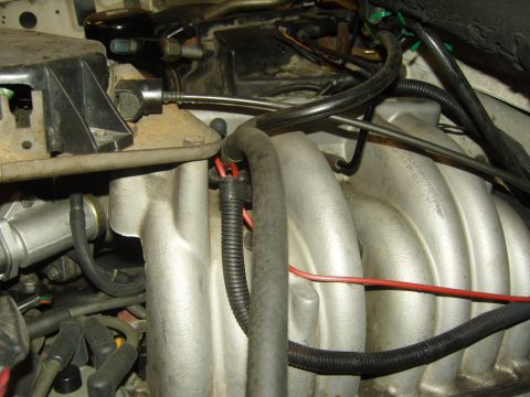 2007 Ford Mustang - This is a close-up view of a vehicle's engine intake manifold, showing hoses and wiring.