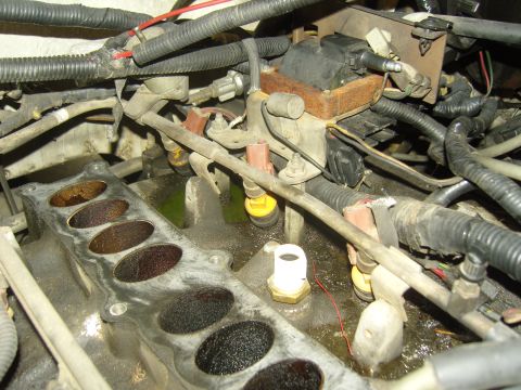 2007 Ford Mustang - Close-up view of an engine's intake manifold, showing fuel injectors and associated wiring.