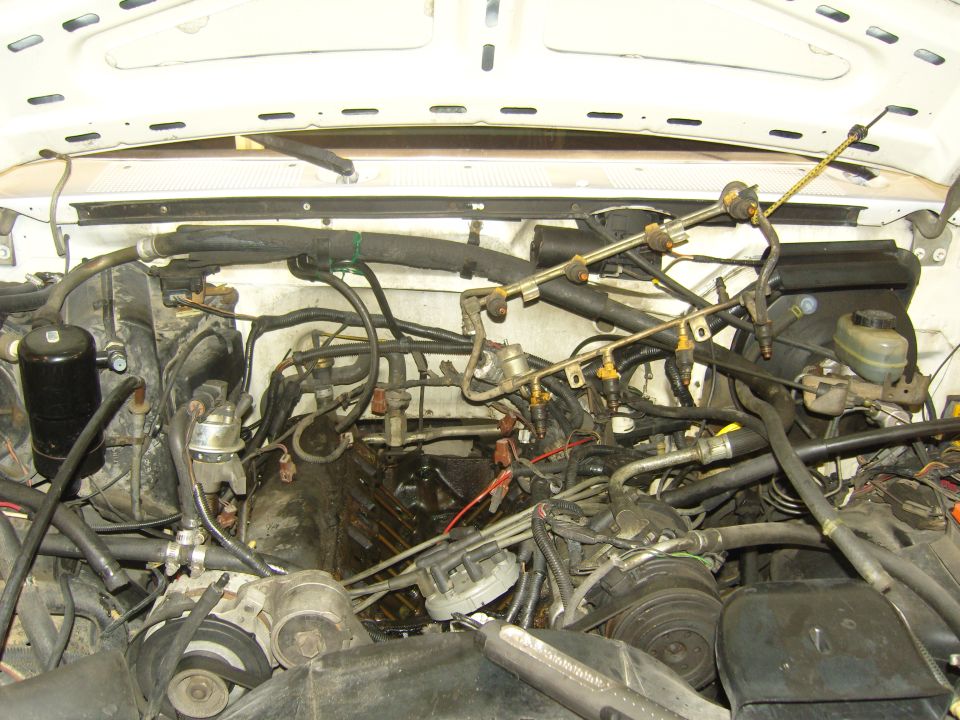 engine bay with hoses, wires, and engine parts visible