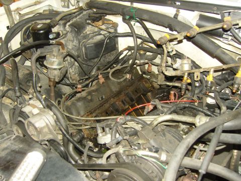 2007 Ford Mustang - Close-up view of an engine bay, showing fuel injectors and distributor assembly.