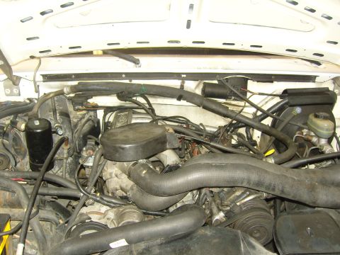 2007 Ford Mustang - Close-up view of a vehicle's engine bay, showing various hoses, wiring, and engine components.