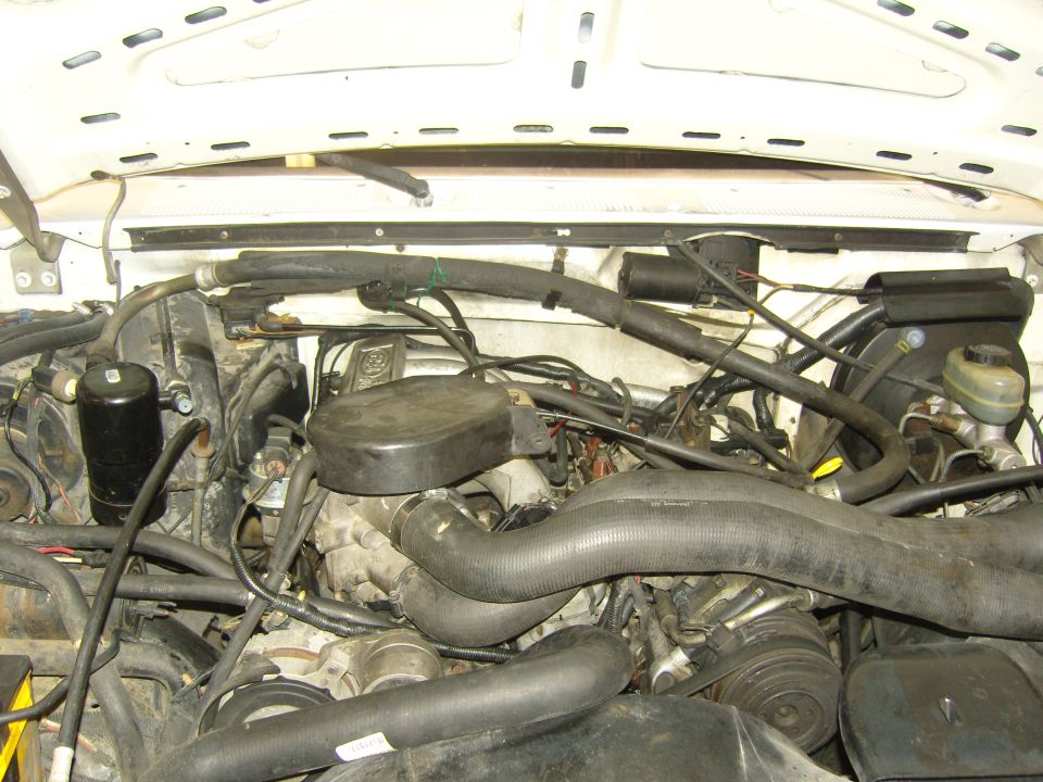 Engine bay with hoses and wiring visible