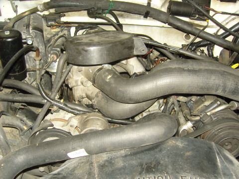 2007 Ford Mustang - Close-up view of a vehicle's engine bay, showing various hoses and mechanical parts.