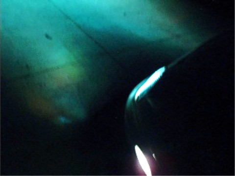 1997 Ford Taurus - Car headlight illuminated by neon lights, with SuperMotors branding at the bottom.