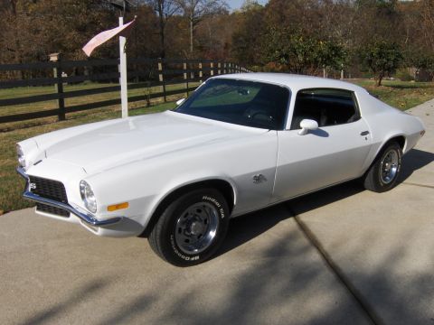 1979 Chevrolet Camaro - A white Chevrolet Camaro is parked on a concrete driveway with trees and a fence behind it.