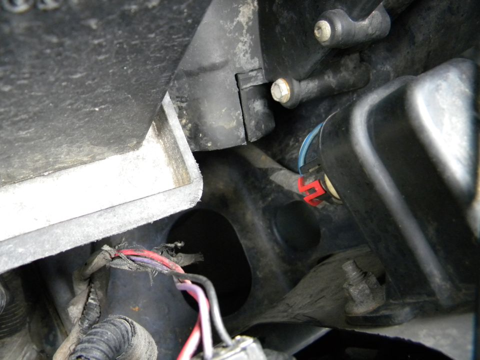 Close-up of frayed automotive wiring and black plastic housing with a red connector