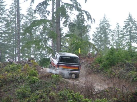1978 Ford Bronco - This 1978 Ford Bronco navigates a muddy trail through a dense forest.