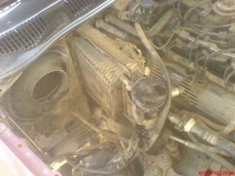 1998 Ford Crown Victoria - The A/C evaporator in this 1998 Ford Crown Victoria's engine bay is covered in dirt and debris.