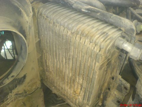 1998 Ford Crown Victoria - Close-up view of a dusty A/C evaporator core, likely needing cleaning.