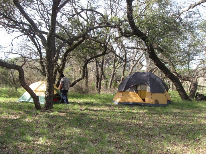 Two tents are set up in a grassy, wooded area with a person standing near one of them