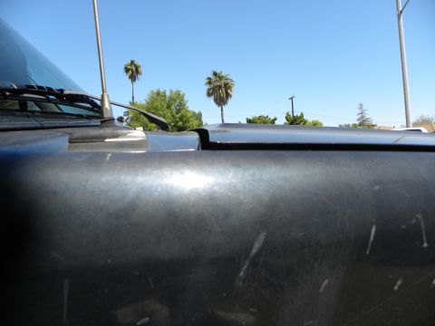 1995 Ford Bronco - Car hood detail with antenna visible against a bright blue sky and palm trees.