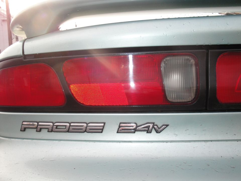 Daylight shot of outlined tail