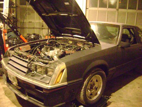 1981 Ford Mustang - A dark gray 1981 Ford Mustang coupe is parked in a garage with its hood open, revealing the engine.