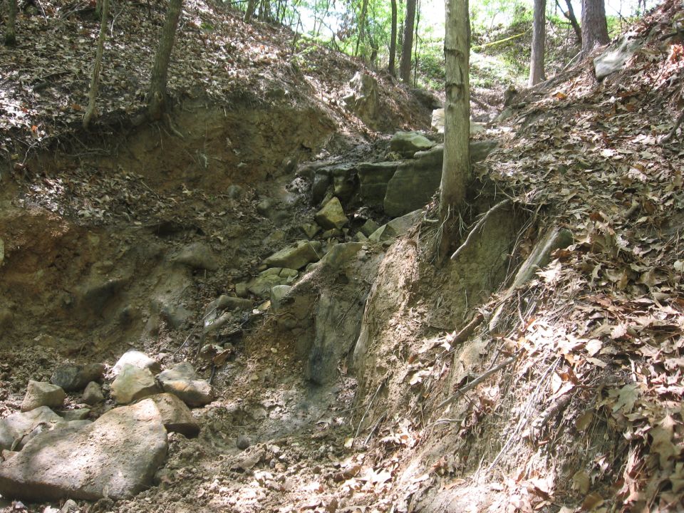 Wooded ravine with rocky terrain and fallen leaves, Supermotors.net logo visible